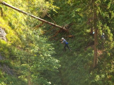 010-Seilbruecke im Hausbachfall-Klettersteig